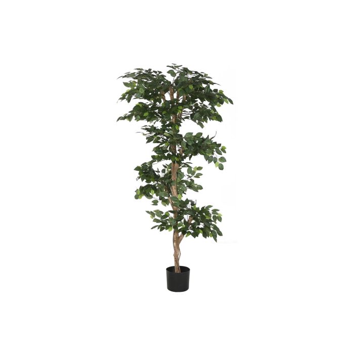 DKD Home Decor Ficus Artificial Verde 56 x 150 x 56 cm (2 Unidades) de Pp y Poliester