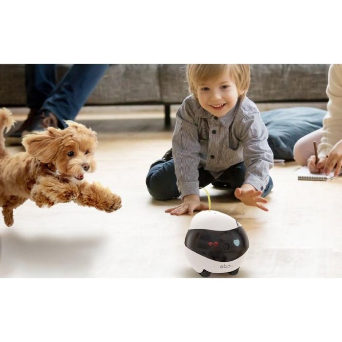 Enabot EBO Air - Robot para Mascotas con Cámara 1080p, Seguimiento por IA y LiDAR, Control por App 4
