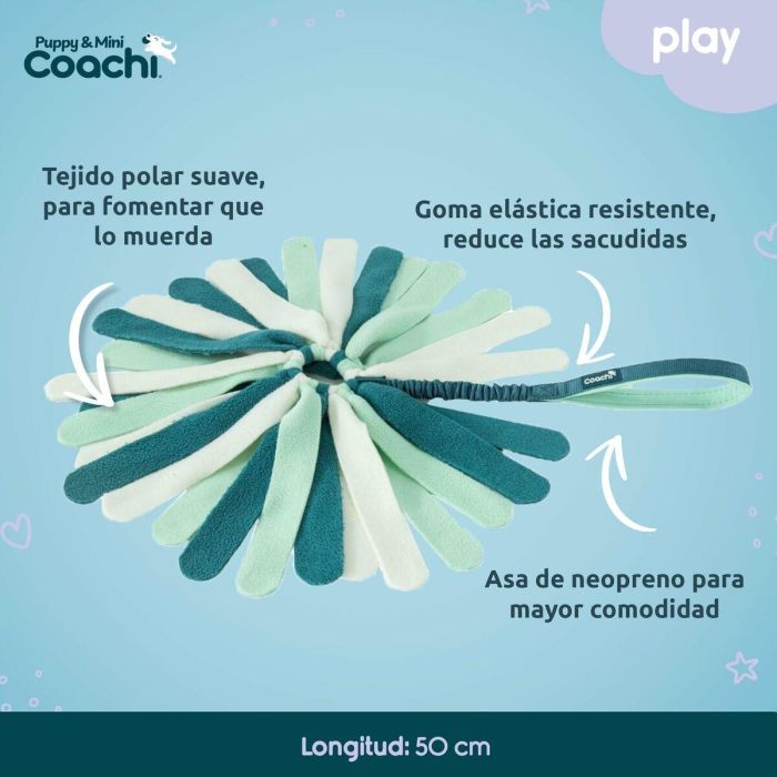 Arnés para Perro Coachi Arnés para Perro Coachi