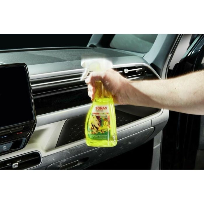 Limpia Salpicaderos Matt Effect Lemon Rocks SX03432410 3 Limpia Salpicaderos Matt Effect Lemon Rocks SX03432410 3