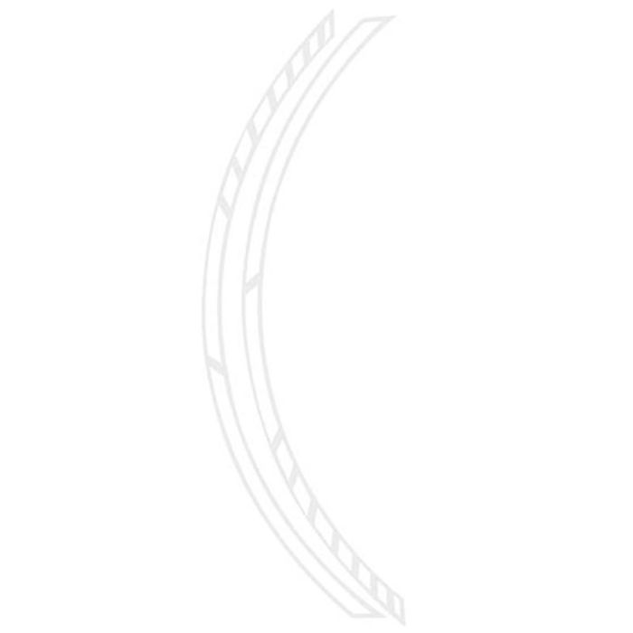 Foliatec Tiras de Llanta Pin Striping Racing Blanco 6 mm x 41 cm con Espaciador FO34442 1