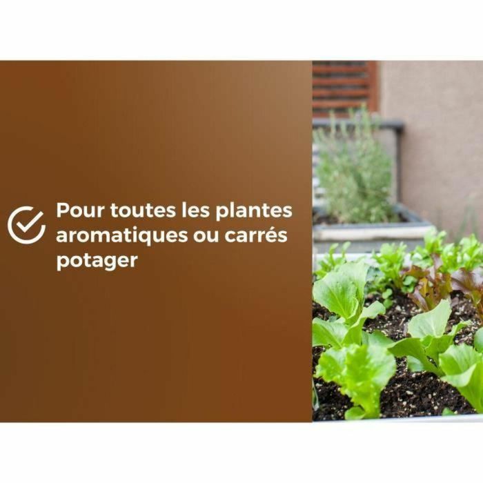 Or Brun OBRTARO6U Tierra para hortalizas y plantas aromáticas 6L - Crecimiento rápido 2 Or Brun OBRTARO6U Tierra para hortalizas y plantas aromáticas 6L - Crecimiento rápido 2
