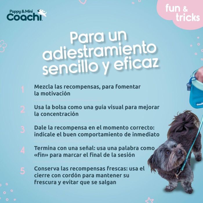 Arnés para Perro Coachi 1 Arnés para Perro Coachi 1