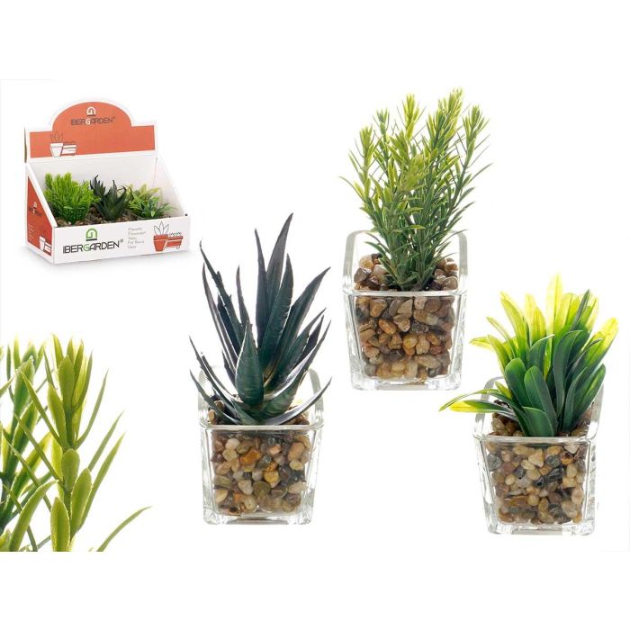 Ibergarden Maceta de Vidrio para Planta, Surtidos, 4.6x11x5 cm (Set de 24)