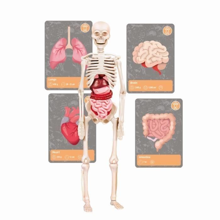 Clementoni CLE8005125527366 Kit de Ciencia y Juegos La Historia de la Vida en la Tierra con Realidad Virtual y Más de 50 Experimentos 4