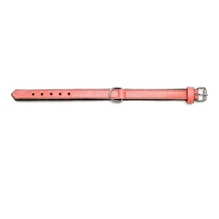Collar para Perro Gloria Acolchado Coral (55 x 2,5 cm) 6 Collar para Perro Gloria Acolchado Coral (55 x 2,5 cm) 6