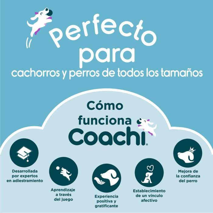 Coachi Chase & Crinkle Borrego Azul-Coral 5 Coachi Chase & Crinkle Borrego Azul-Coral 5