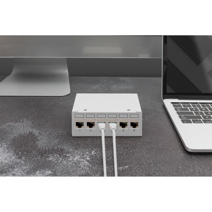 Digitus Patchpanel Modular de 6 Puertos Blanco 1