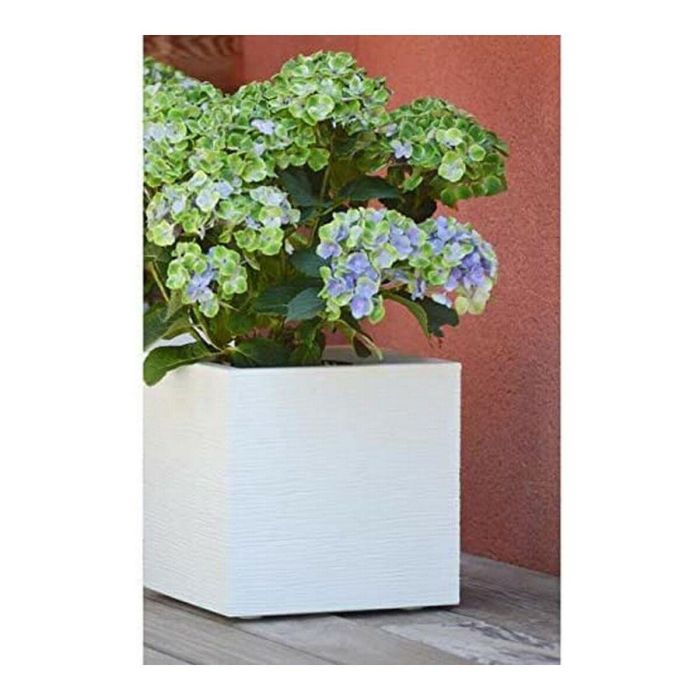 EDA PLASTIQUE Macetero Cuadrado Graphit Up Decoración Ondulada 21L 29.5x29.5x29.5cm Blanco Encalado Anti UV Exterior/Interior 1 EDA PLASTIQUE Macetero Cuadrado Graphit Up Decoración Ondulada 21L 29.5x29.5x29.5cm Blanco Encalado Anti UV Exterior/Interior 1