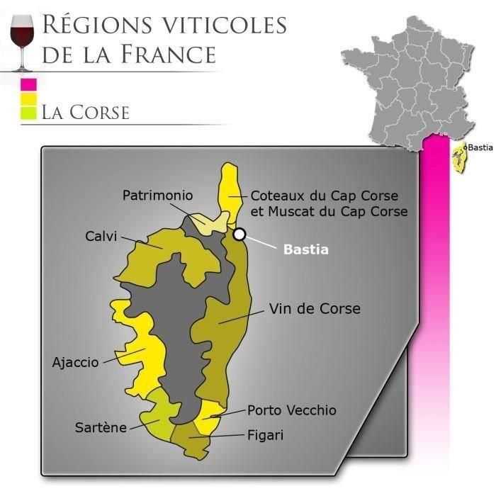 Muscadellu - Muscat corsicano brillante 1