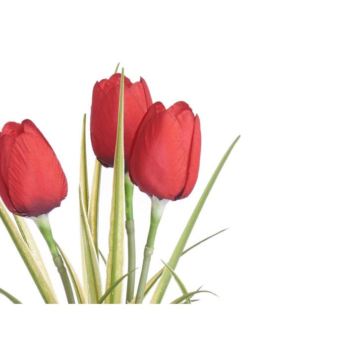 Planta Tulipan Bote Metal Surtidos Ibergarden 15x31x15cm (12 Unidades) 2 Planta Tulipan Bote Metal Surtidos Ibergarden 15x31x15cm (12 Unidades) 2