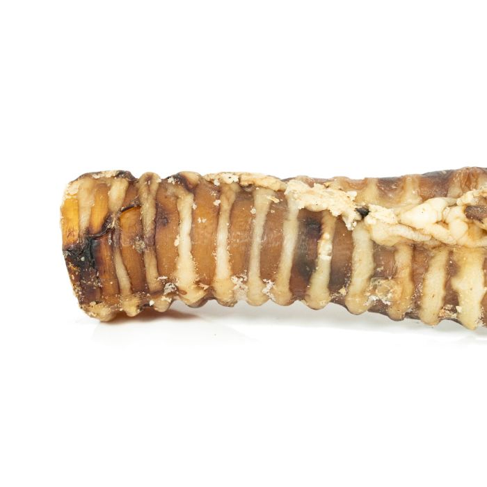 Snackys Tráquea de Vacuno Natural - Display Caja 20 Packs de 2 Tráqueas (40 Unidades) - Snacks 100% Naturales Colágeno Sin Aditivos 0 Snackys Tráquea de Vacuno Natural - Display Caja 20 Packs de 2 Tráqueas (40 Unidades) - Snacks 100% Naturales Colágeno Sin Aditivos 0