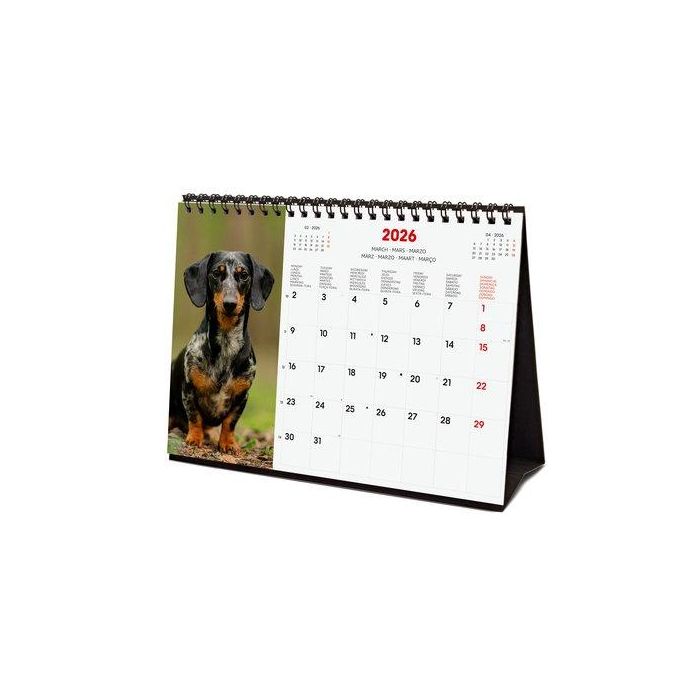 Calendario (2026) Finocam Internacional Sobremesa Imagenes Mensual Para Escribir S 210X150 Dogs