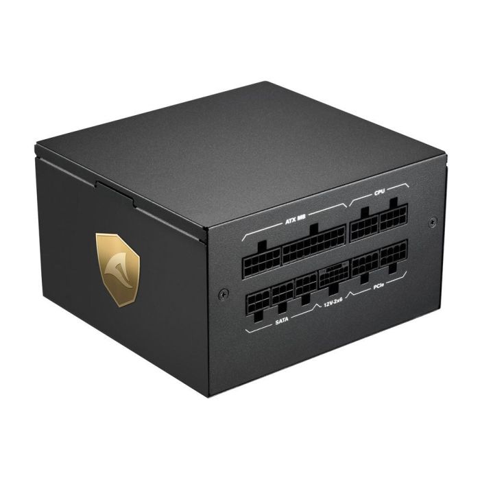 SHARKOON Fuente de Alimentación Rebel P20 1200W ATX Negro 5