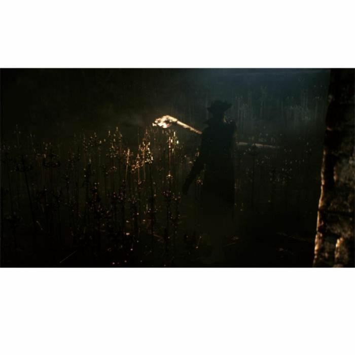 Sony Computer Entertainment Bloodborne Juego de PS4 5