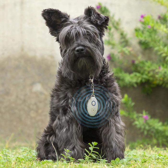 Antiparásitos por Ultrasonidos Recargable para Mascotas PetRep InnovaGoods 10 Antiparásitos por Ultrasonidos Recargable para Mascotas PetRep InnovaGoods 10