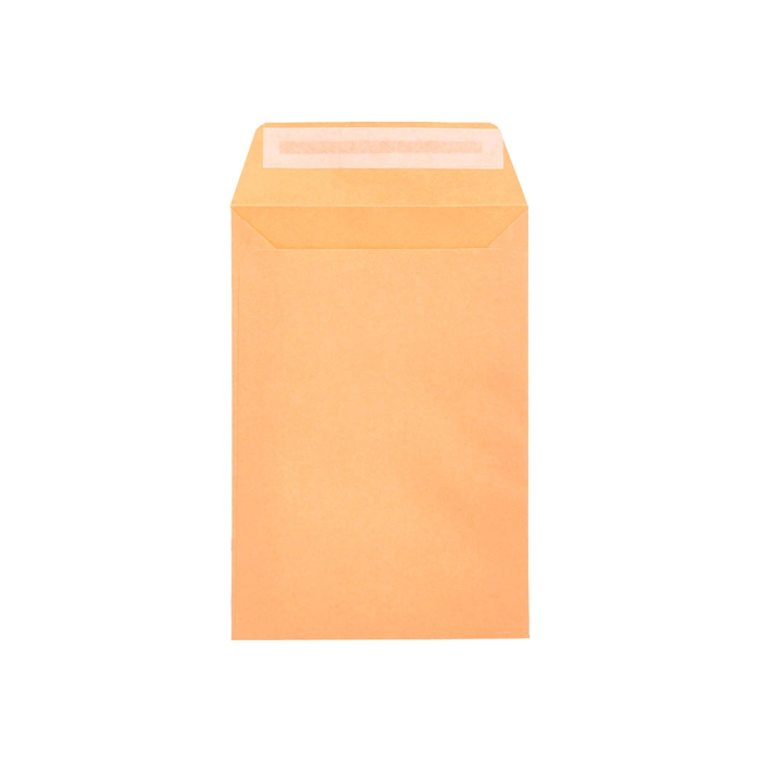 Liderpapel Bolsa N.0 Cel Caña Sobres Salarios 100x145mm Tira Silicona Caja 1000 Unidades 8