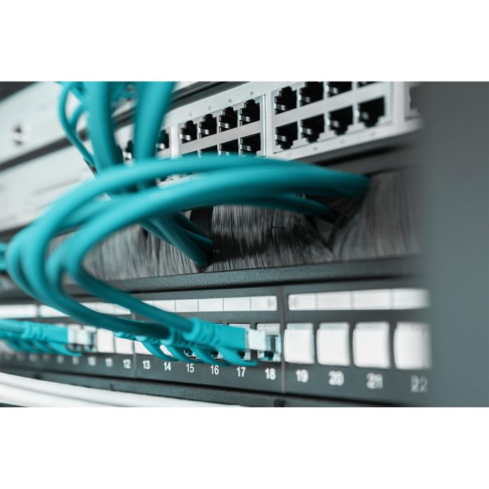 Digitus Panel de Gestión de Cables con Cepillo Abierto 1U, para Armario Rack de Red/Servidor 19 pulgadas, Negro RAL 9005 2