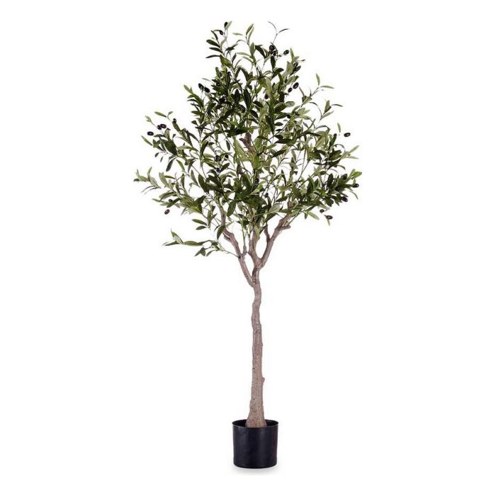 Planta Decorativa Ibergarden BRS-ADK102 Plástico Cable de hierro Olivo 73 x 120 x 73 cm