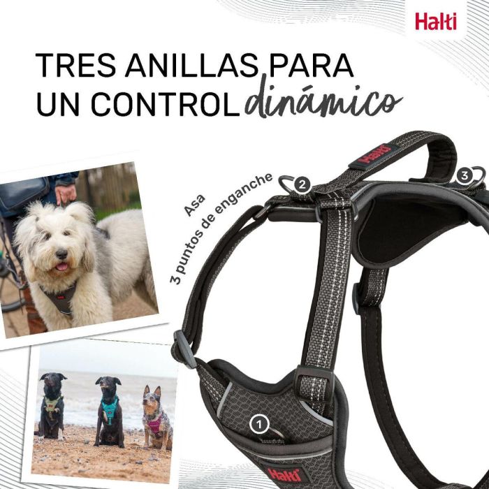 Arnés para Perro Company of Animals Gris M 35-55 cm 4