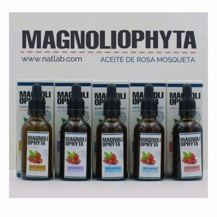 Magnoliophyta Aceite de Rosa Mosqueta con Vitamina C - Hidratante Facial Antiestrías y Antioxidante para Todo Tipo de Pieles 30 ml 1 Magnoliophyta Aceite de Rosa Mosqueta con Vitamina C - Hidratante Facial Antiestrías y Antioxidante para Todo Tipo de Pieles 30 ml 1