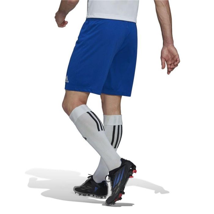 Pantalón de Entrenamiento de Fútbol para Adultos Adidas Ent22 Azul XL 4