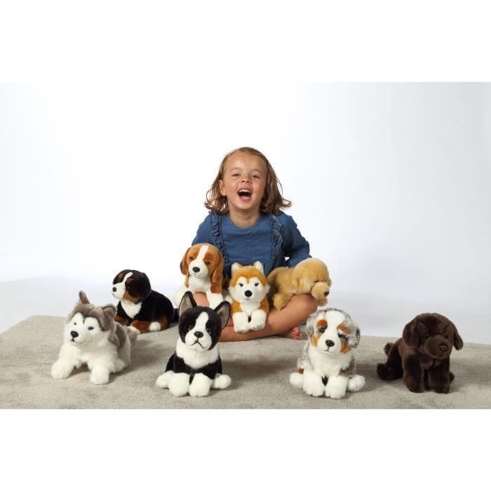 Gipsy Toys AUC3268060711251 Peluche Perro Boyero de Berna Sentado 25 cm 2
