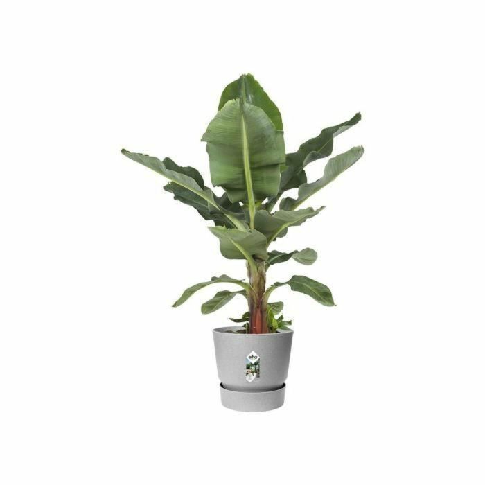 Maceta redonda ELHO Greenville 47 - Exterior - Ø 47 x H 44,1 cm - Hormigón vivo gris 2 Maceta redonda ELHO Greenville 47 - Exterior - Ø 47 x H 44,1 cm - Hormigón vivo gris 2