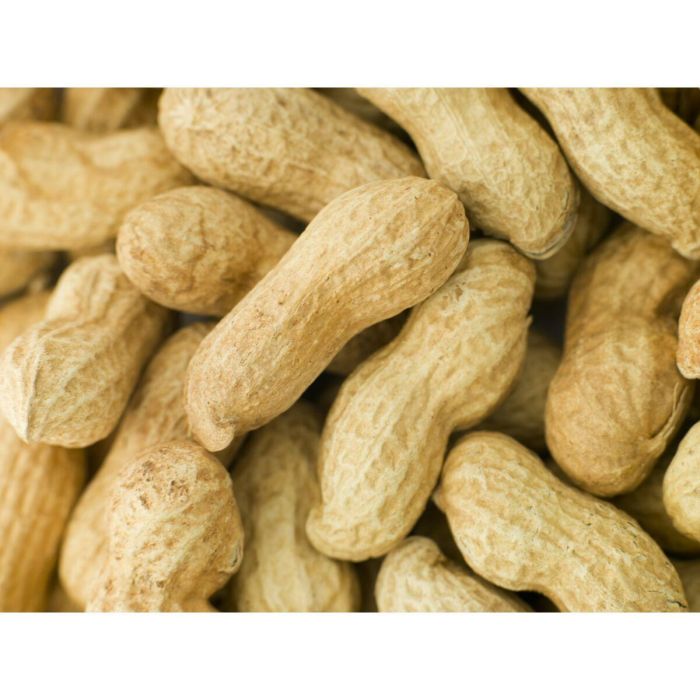 Comida para pájaros Deli Nature Premium 1,6 kg 2