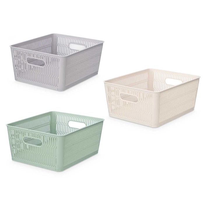 Caja Soporte Extensible Med Surtidos Col Kipit 28X12CM (24 Unidades) 1 Caja Soporte Extensible Med Surtidos Col Kipit 28X12CM (24 Unidades) 1