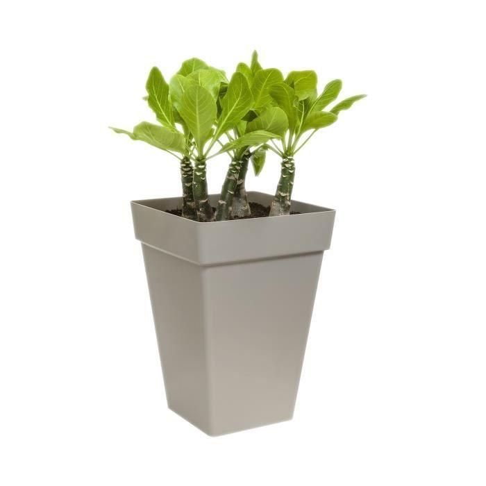 Elho LOF8711904230395 Maceta Cuadrada Alta Loft Urban 30 cm Blanca 100% Reciclada 1 Elho LOF8711904230395 Maceta Cuadrada Alta Loft Urban 30 cm Blanca 100% Reciclada 1