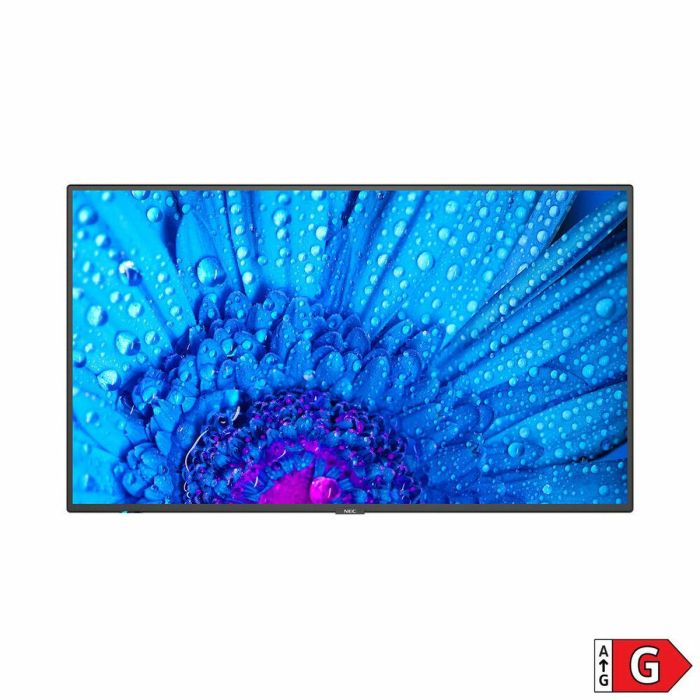 Monitor NEC 60005061 65" IPS D-LED 60 Hz 50-60 Hz 65" 4 Monitor NEC 60005061 65" IPS D-LED 60 Hz 50-60 Hz 65" 4