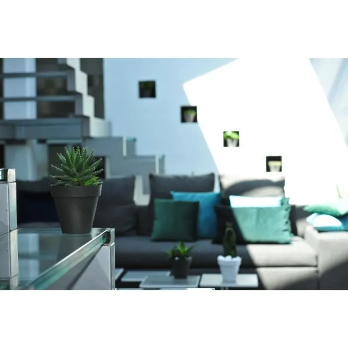 Riviera Rond 50 Blanco - Bote con Sistema de Retención de Agua, 100% Reciclable, Fabricación Francesa 3