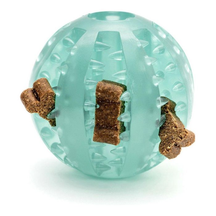 Pelota Dental Tpr 6 cm 16 Pelota Dental Tpr 6 cm 16