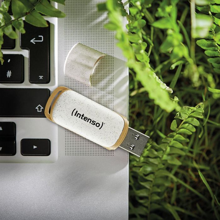 Intenso Green Line USB 3.2 Gen 1 128 GB con Tapa - Beige/Marrón 4
