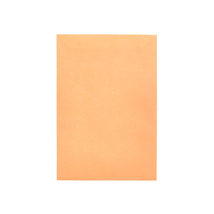 Liderpapel Bolsa N.0 Cel Caña Sobres Salarios 100x145mm Tira Silicona Caja 1000 Unidades 4