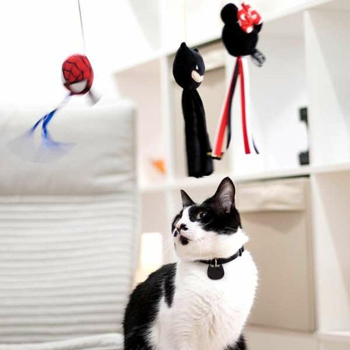 Varita para gato spiderman 3.0 x 7.0 x 46.0 cm 3 Varita para gato spiderman 3.0 x 7.0 x 46.0 cm 3