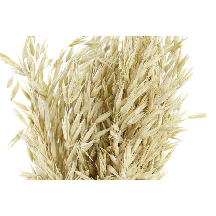 DKD Home Decor Ramo Shabby Verde 16 x 60 x 16 cm Flor Seca (12 Unidades) 3