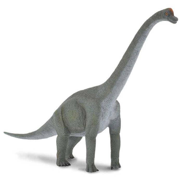Brachiosaurus -L- 88121 Collecta