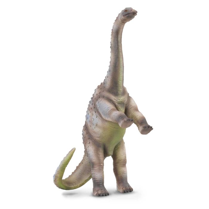 Rhoetosaurus -L- 88315 Collecta