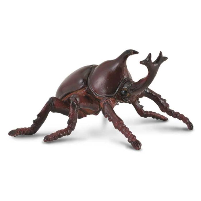 Escarabajo Rinoceronte -M- 88337 Collecta