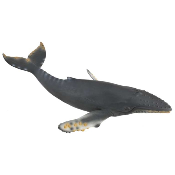 Ballena Jorobada -Xl- 88347 Collecta