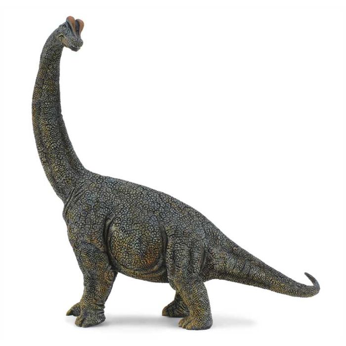 Brachiosaurus - Deluxe 1:40 88405 Collecta