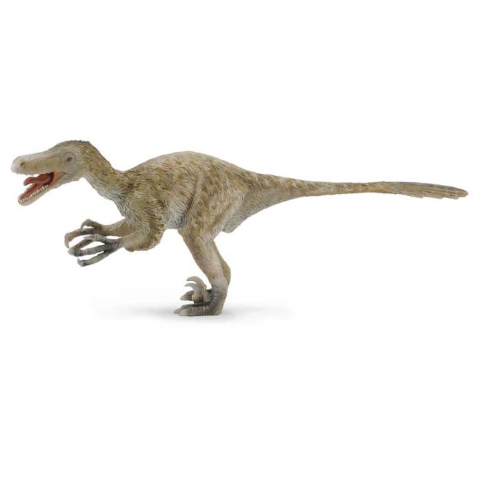 Velociraptor - Deluxe 1:6 88407 Collecta