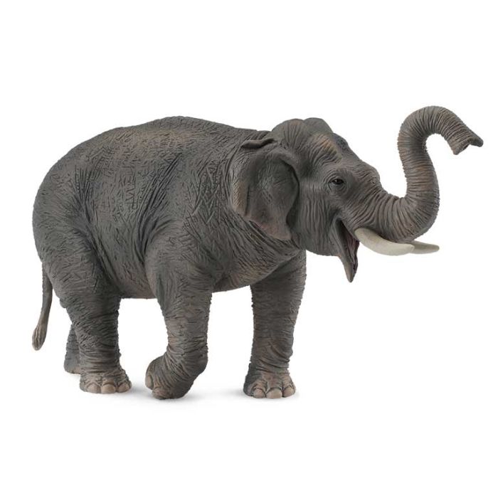 Elefante Asiatico -Xl- 88486 Collecta