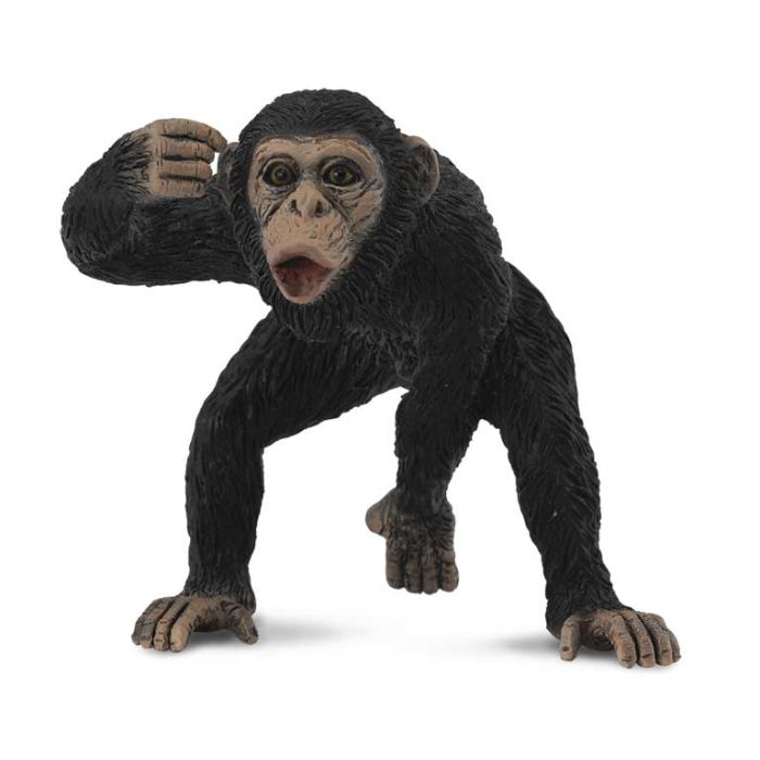 Chimpance Macho -M- 88492 Collecta