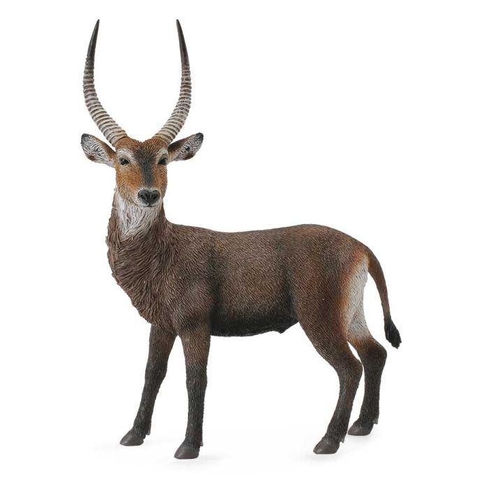 Antilope Acuatico -L- 88562 Collecta