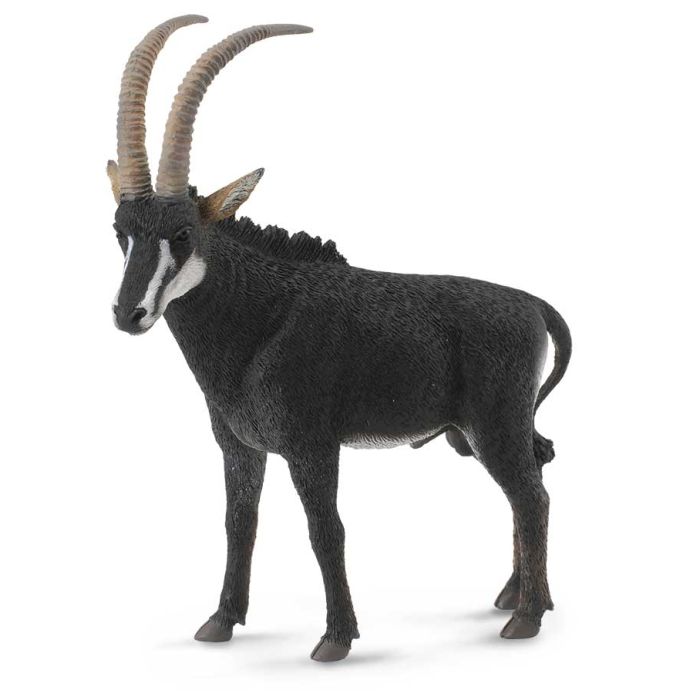 Antilope Negro Macho -L- 88564 Collecta