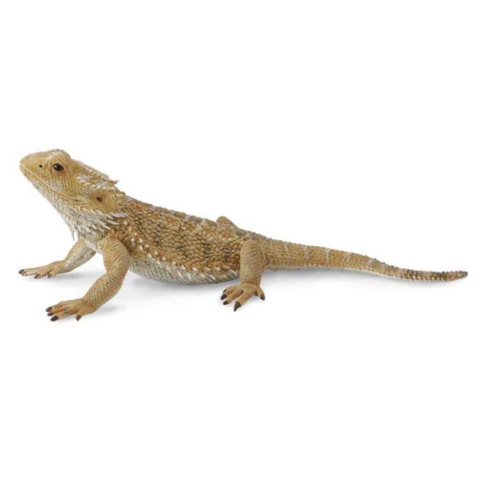 Lagarto Dragón Barbudo - L - 88567 - Collecta Lagarto Dragón Barbudo - L - 88567 - Collecta