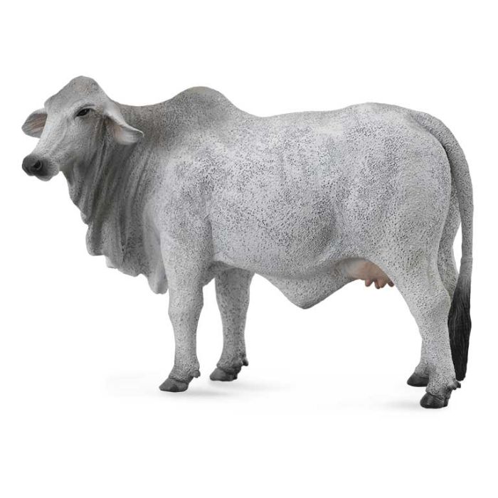 Vaca Brahmna -L- 88580 Collecta